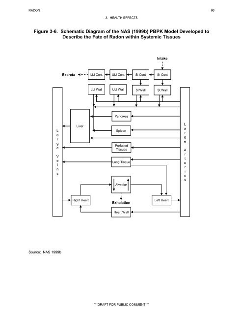 ATSDR Draft Toxicological Profile for Radon_September 2008.pdf