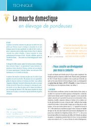 La mouche domestique en élevage de pondeuses