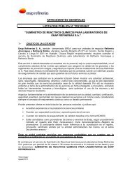 antecedentes generales licitacion pública nº tr31030667 - Enap