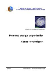 Mémento pratique du particulier Risque « cyclonique » - MRN