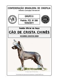 CÃO DE CRISTA CHINÃS - CBKC