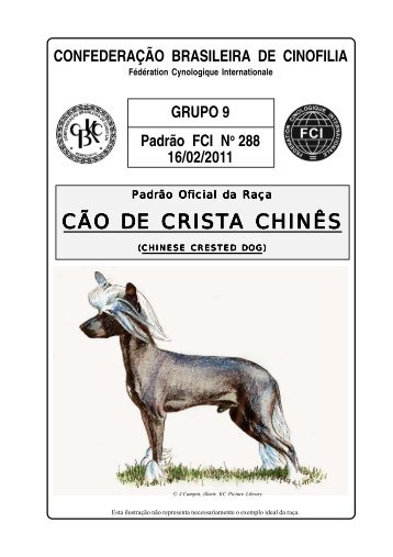 CÃO DE CRISTA CHINÃS - CBKC