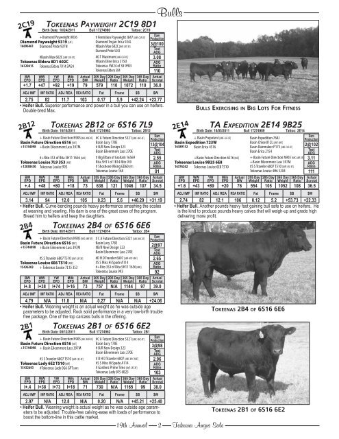 Tokeena angus, SeneCa, SC - Brubaker Sales and Marketing