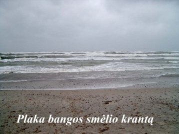 12. plaka bangos baltÄ krantÄ