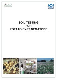 SOIL TESTING FOR POTATO CYST NEMATODE - SASA