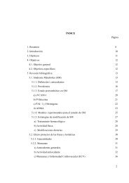 2 ÍNDICE 1. Resumen 2. Introducción 3. Hipótesis 4. Objetivos 4.1 ...