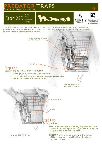 DOC 250 predator traps - Department of Conservation