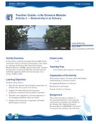 Biodiversity in the Estuary - Estuaries NOAA
