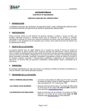 LICITACIÓN PÚBLICA CONTRATO Nº MA35004934 ... - Enap