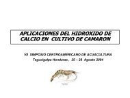 Presentacion Honduras - Anfacal