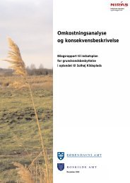 Omkostningsanalyse og konsekvensbeskrivelse