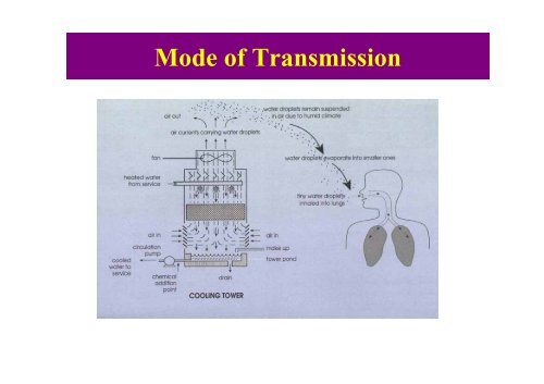 Isolation of Legionella pneumophila from Hospital Cooling ... - MAPTB