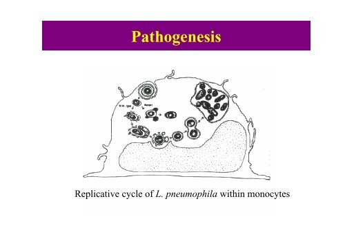 Isolation of Legionella pneumophila from Hospital Cooling ... - MAPTB