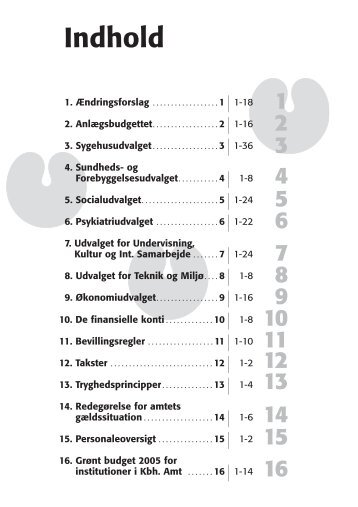 2040595_Kapitel 1 - K?benhavns Amt