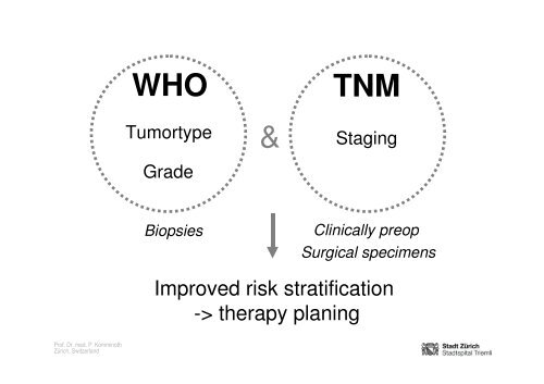 Neuroendocrine Tumors of the Pancreas