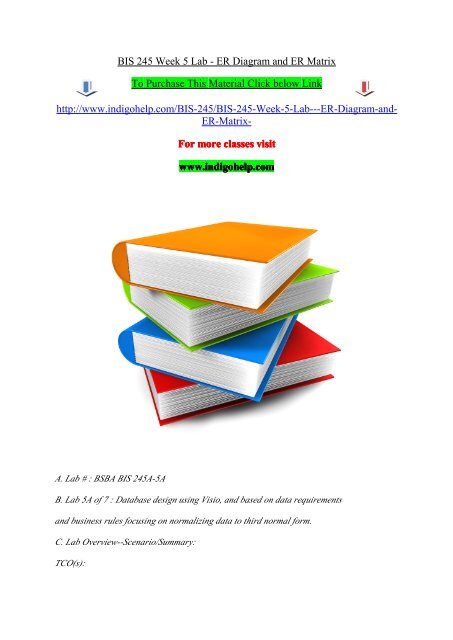 BIS 245 Week 5 Lab - ER Diagram and ER Matrix/indigohelp