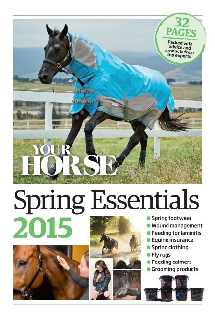 SPRINGGUIDE_15.pdf