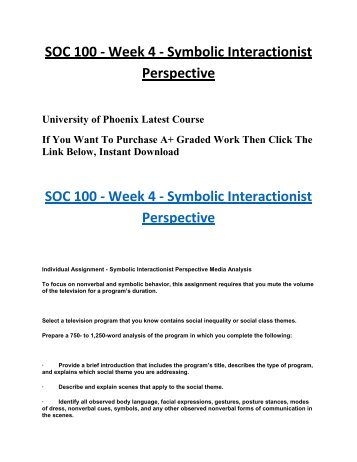 interactionist perspective