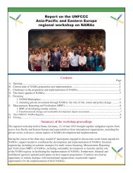 Asia-Pacific & Eastern-Europe NAMA Workshop Report.pdf