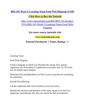 BIO 101 Week 5 Learning Team Food Web Diagram (UOP)/TutorialRank