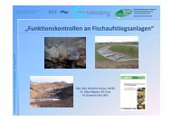 „Funktionskontrollen an Fischaufstiegsanlagen“