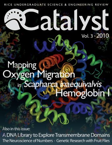 Catalyst Volume 3, 2010