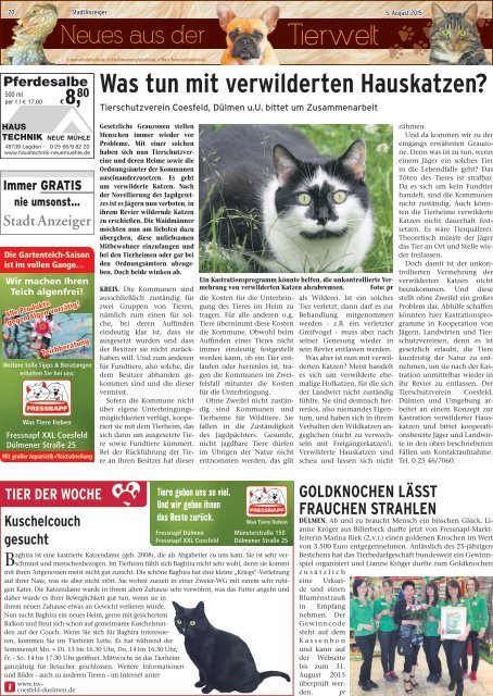 StadtAnzeiger Coesfeld KW 32