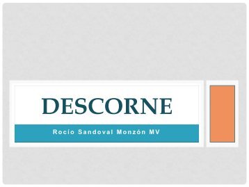 DESCORNE.pdf