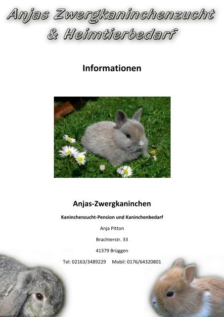 Infohefter Zwergkaninchen NEU PdF.pdf