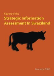 Strategic Information Assessment In Swaziland