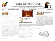 dom19.pdf