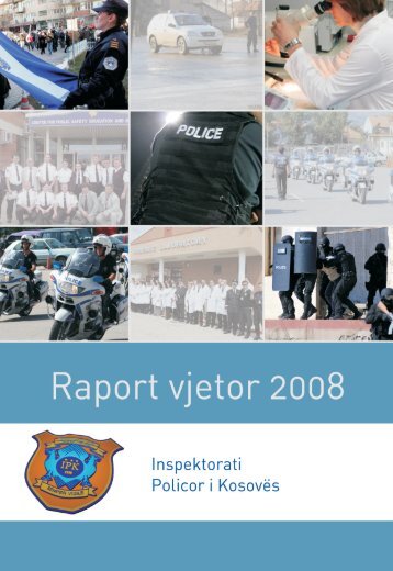 Raport vjetor 2008