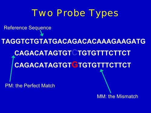 Probe-Level Analysis of Affymetrix GeneChip Microarray Data