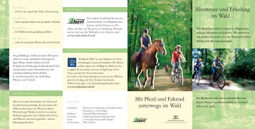 Mit Pferd und Fahrrad unterwegs im Wald - ForstBW