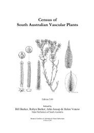 Census of South Australian Vascular Plants (Edition 5.00)