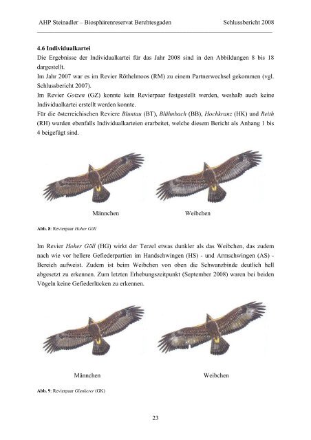 Artenhilfsprogramm Steinadler - Nationalpark Berchtesgaden