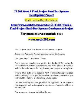 IT 205 Week 9 Final Project Bead Bar Systems Development Project