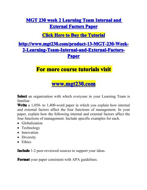 internal and external factors paper mgt 230