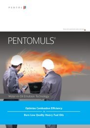 Water-in-oil emulsion » PentoMuls