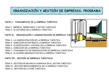 ORGANIZACIÓN Y GESTIÓN DE EMPRESAS PROGRAMA