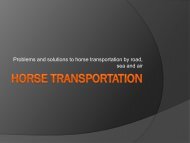 Problems and solutions to horse transportation - Animal ...