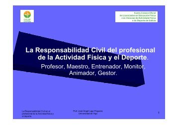 La Responsabilidad Civil del profesional de la ... - COLEF Galicia