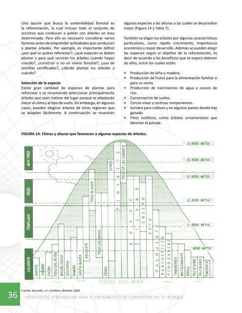 Descargar - Mineduc