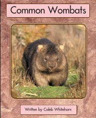 Common Wombats