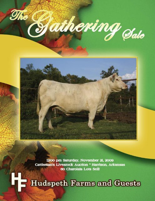 OuTFRONT CATTLE SERvICE - Hudspeth Farms