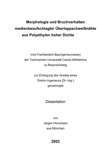 Morphologie und Bruchverhalten medienbeaufschlagter ...