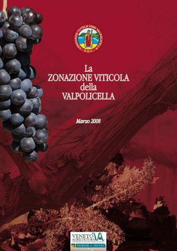 La Zonazione Viticola della VALPOLICELLA