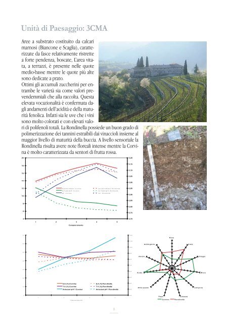 La Zonazione Viticola della VALPOLICELLA