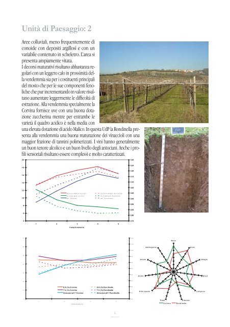 La Zonazione Viticola della VALPOLICELLA