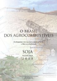 Soja e mamona - RepÃ³rter Brasil